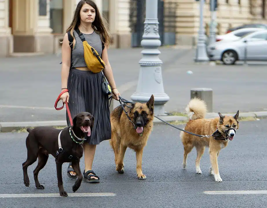 Cebu City Walkers