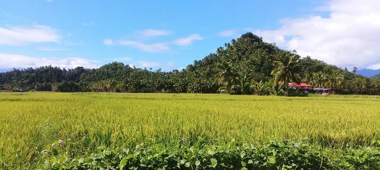 Mahawak Medellin Cebu