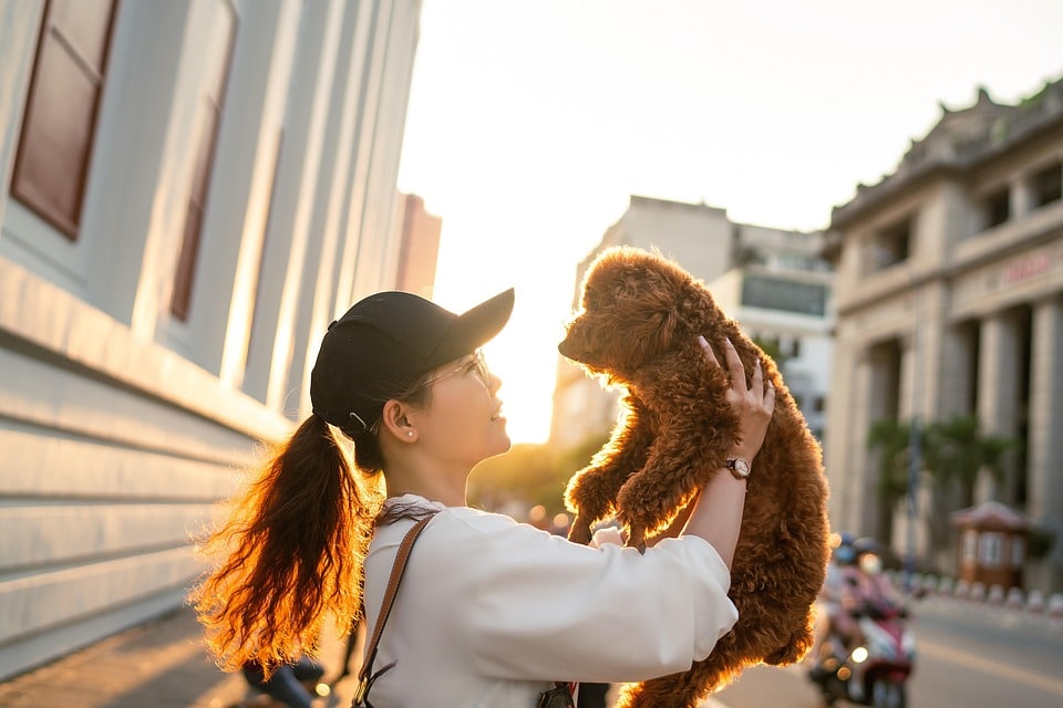 Pet Shop In Cebu City